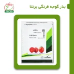بذر گوجه فرنگی برنتا