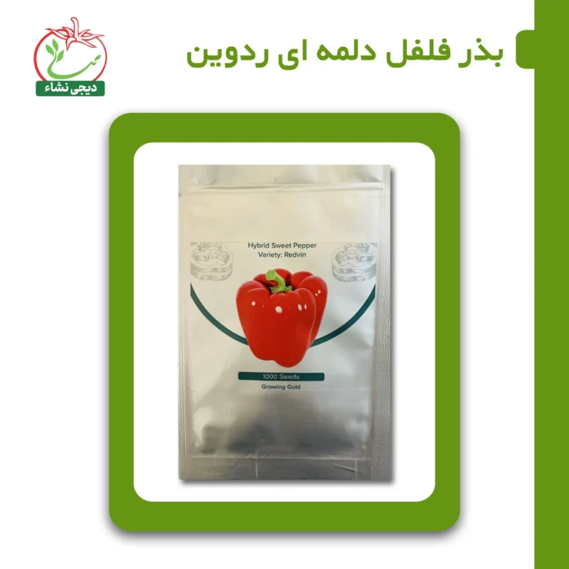 بذر فلفل دلمه ای ردوین