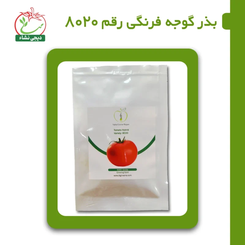 بذر گوجه فرنگی رقم 8020