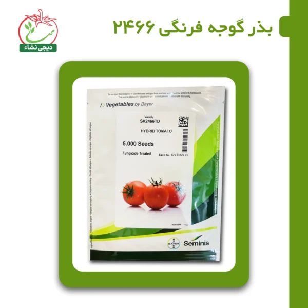 بذر گوجه فرنگی رقم 2466
