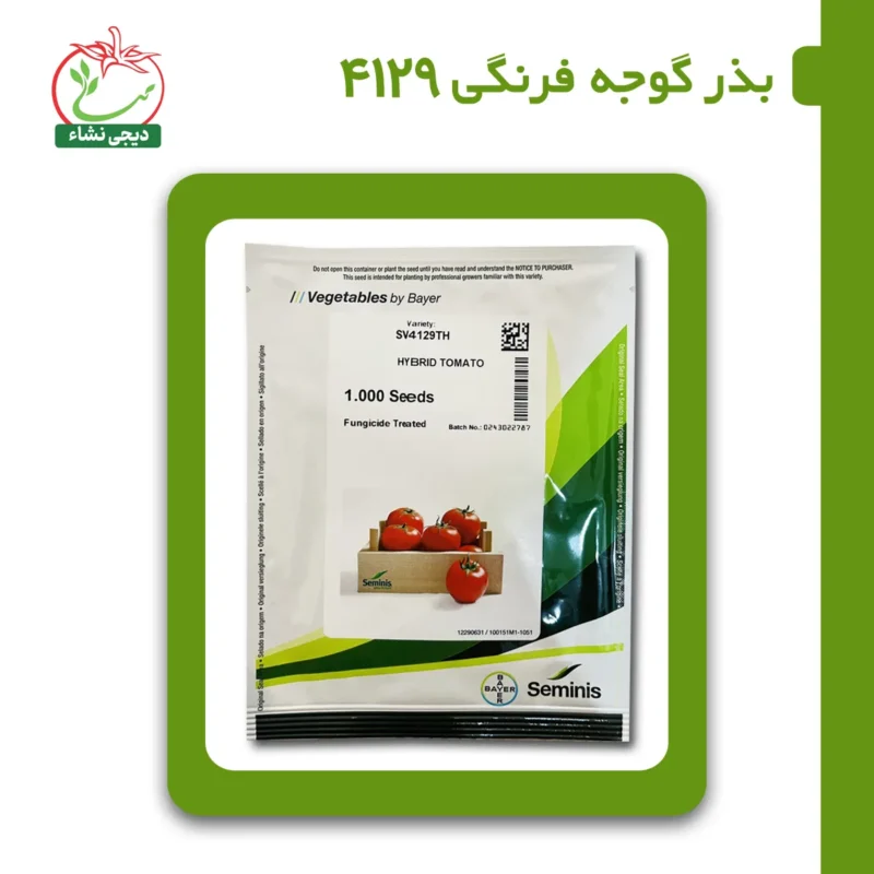 بذر گوجه فرنگی 4129