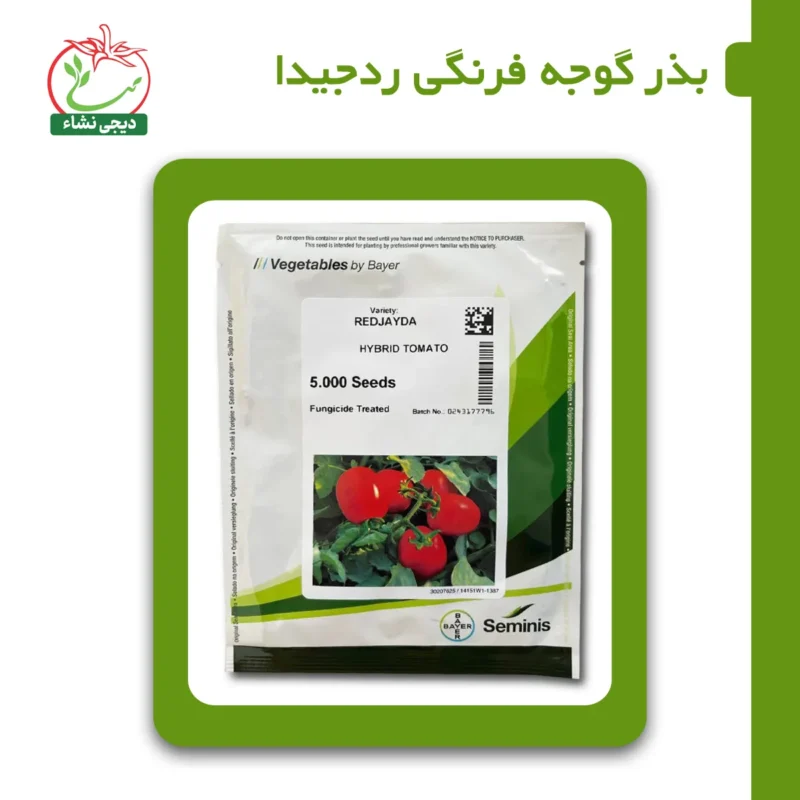 بذر گوجه فرنگی ردجیدا