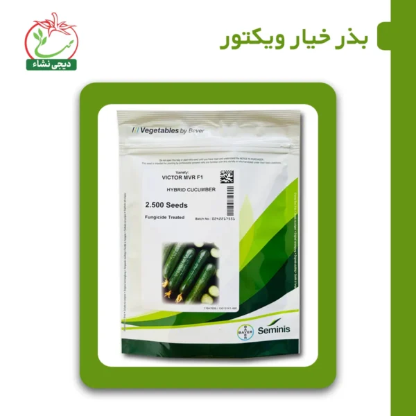 بذر خیار ویکتور دیجی نشا